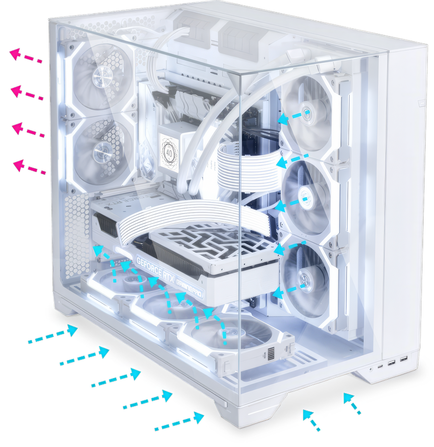 White Lian LI O-11 Vision